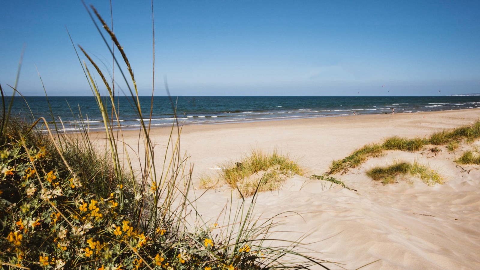 Playa y mar vistos desde las dunas
