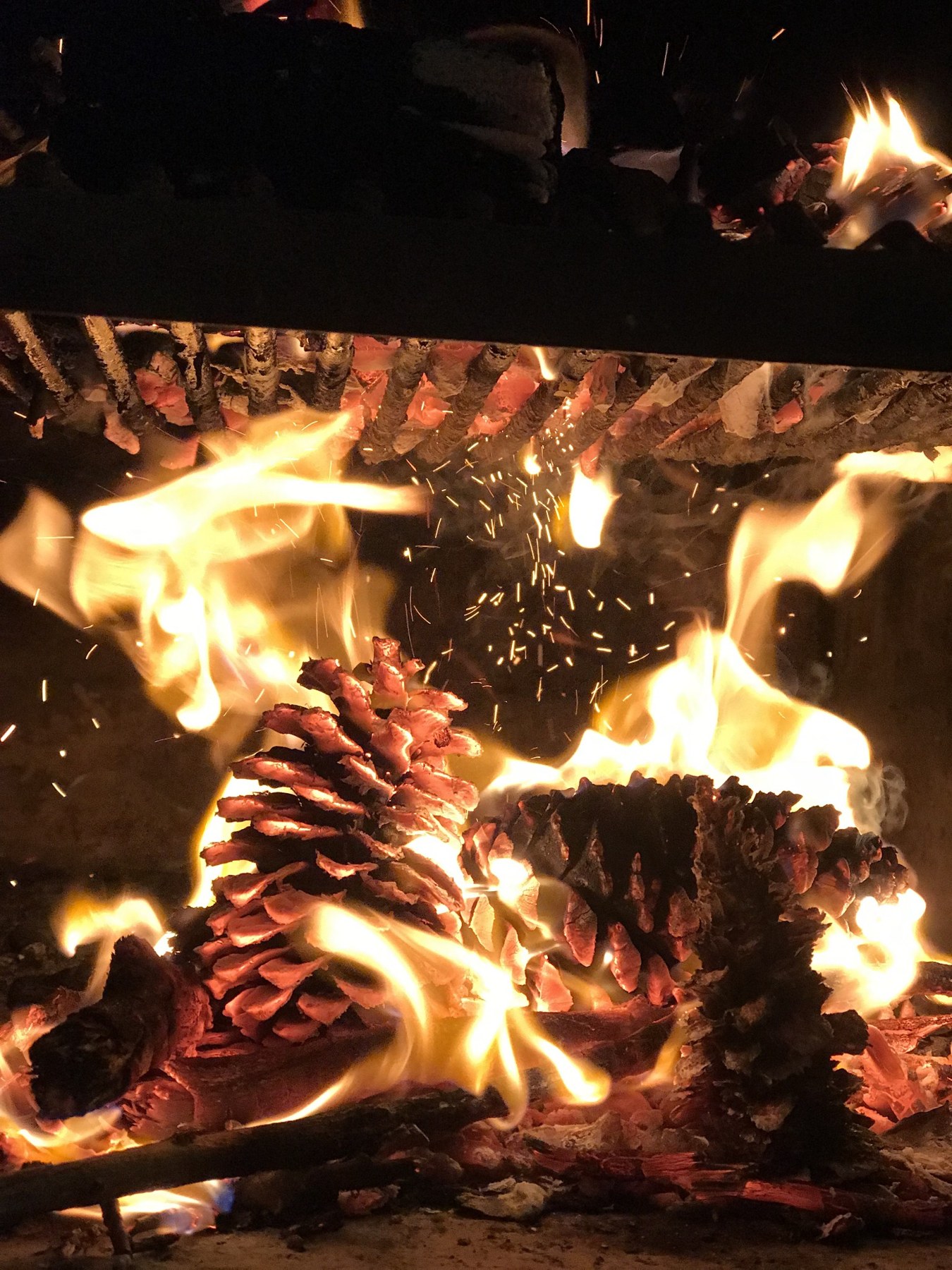 Fuego de leña