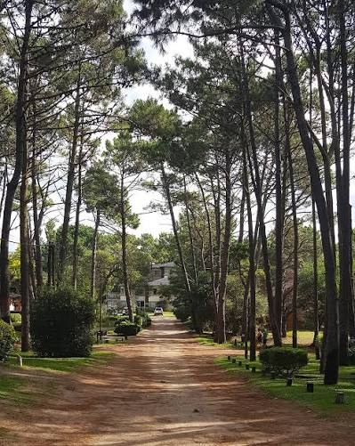 Detalle de naturaleza en Mar de las Pampas